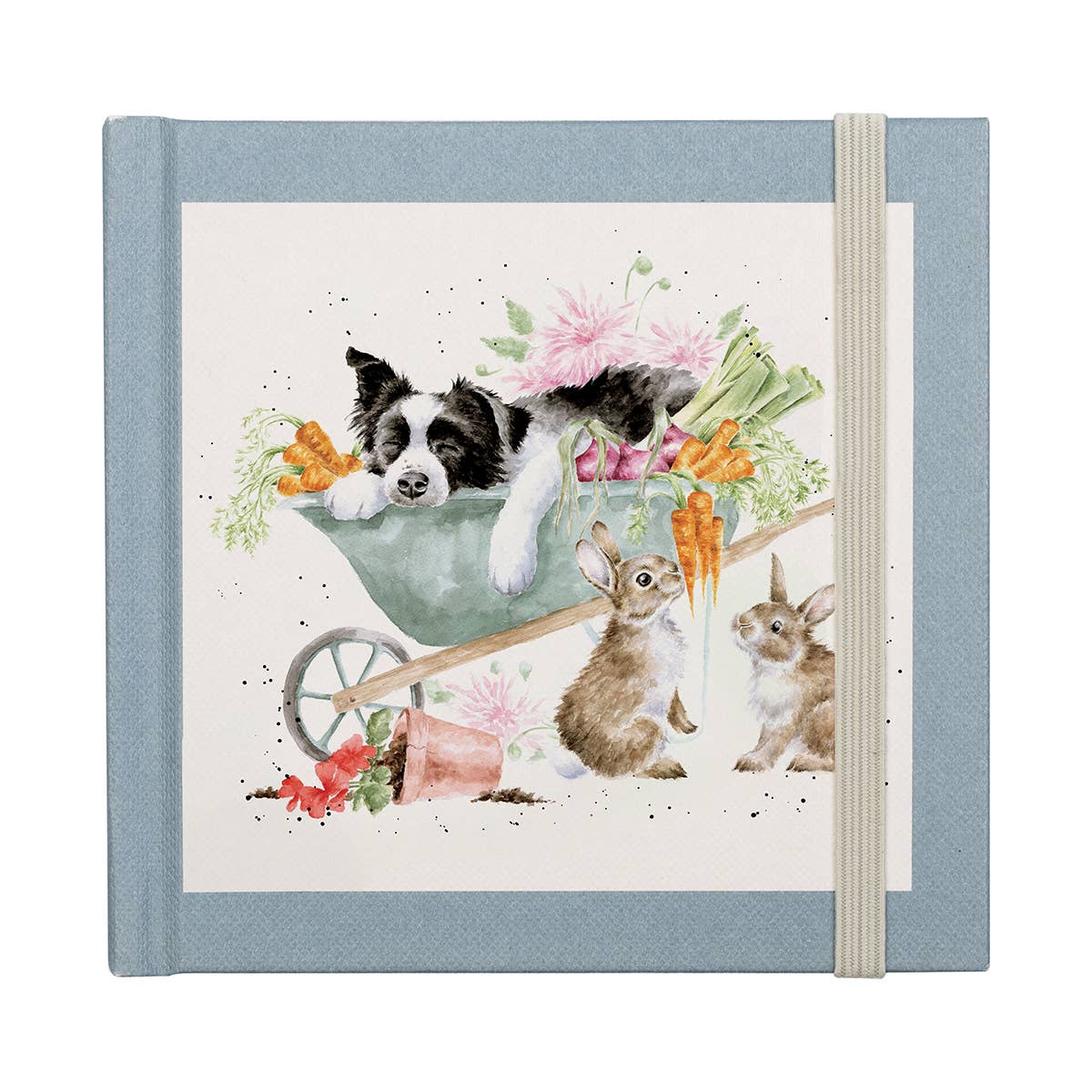 Password Book - Border Collie and Rabbit 'Sleeping on the Job'