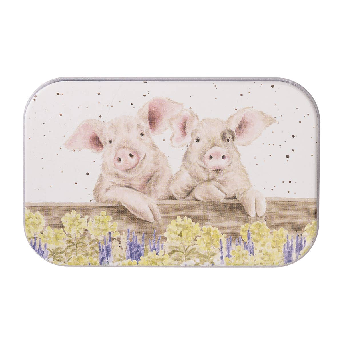 Pig Mini Tin Nosy Neighboars