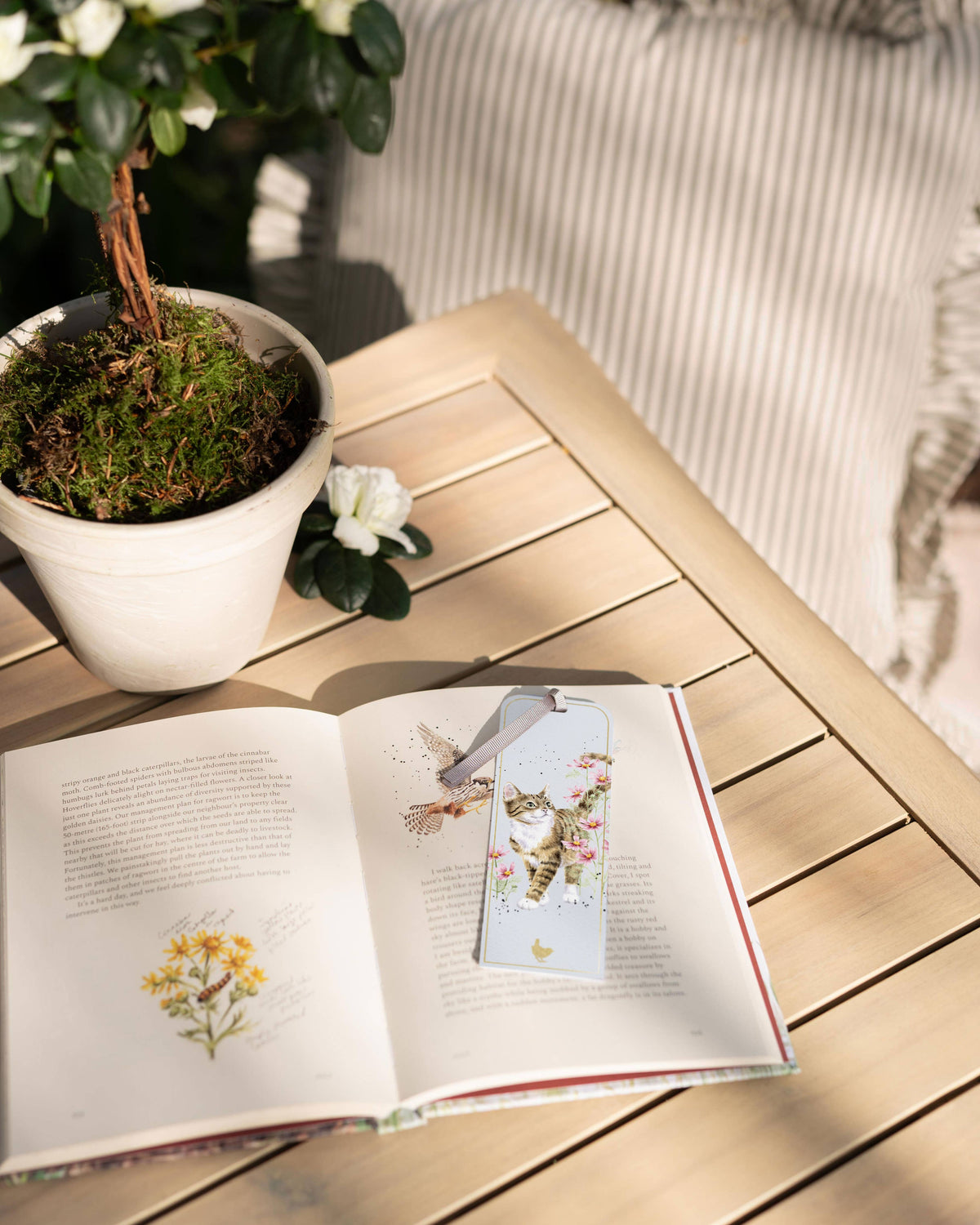 Bookmark - Cat: Harmony